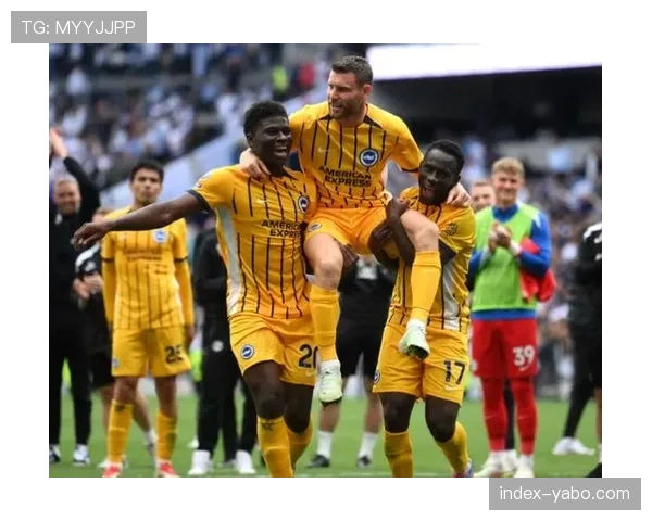 布莱顿中场戈麦斯磕伤，米尔纳诺克问题影响中场轮换